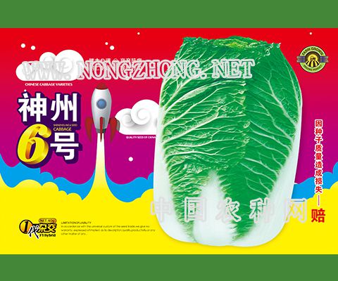 神州6号